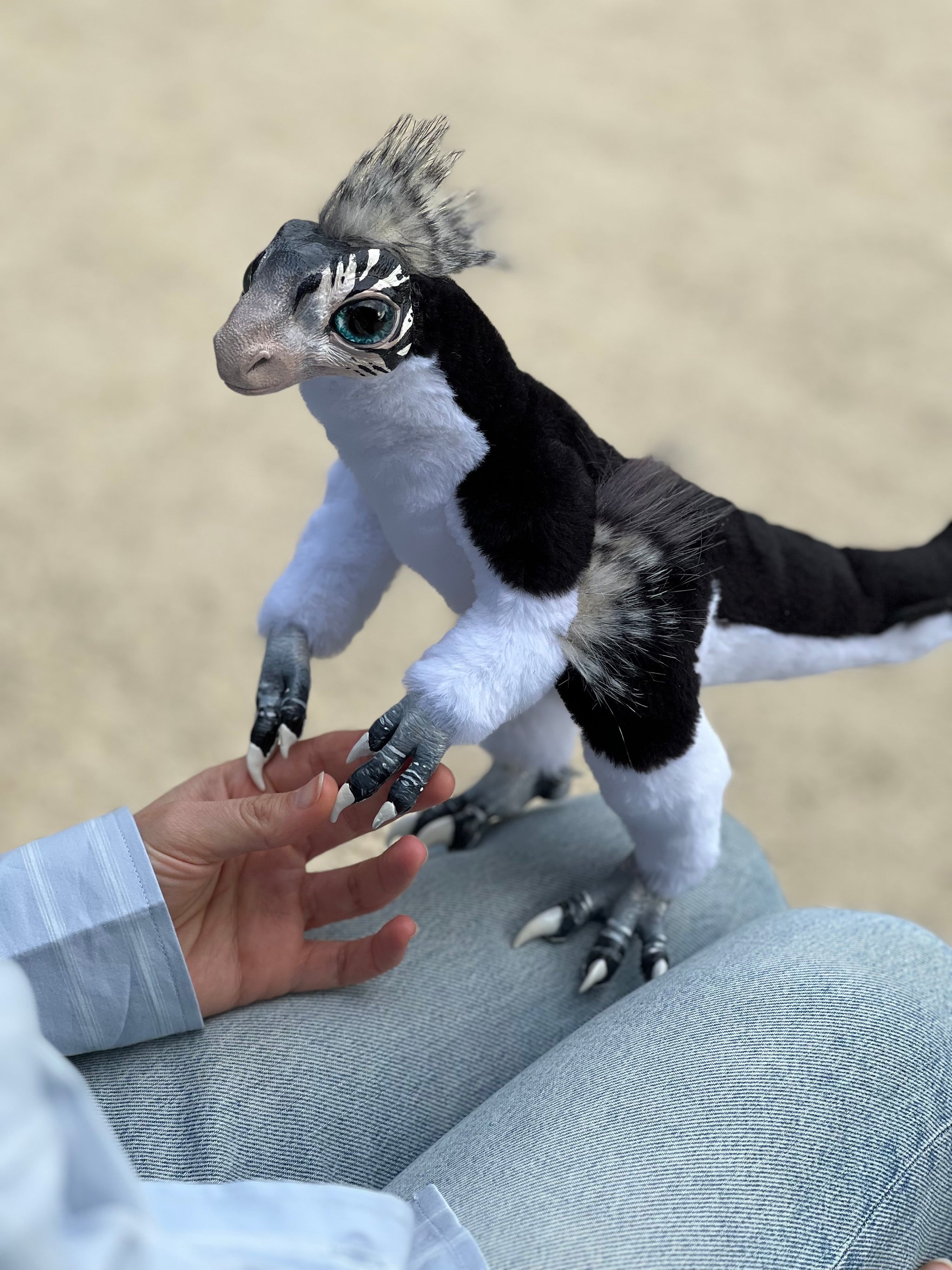 Mercurian raptor black and white – Gift of Mercury
