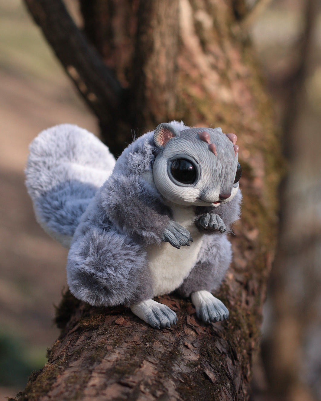 モグ・タカハシ「SQUIRREL」 #Fine Little Day ☆【在庫限り】モグ・タカハシ「SQUIRREL」#Fine Little Day